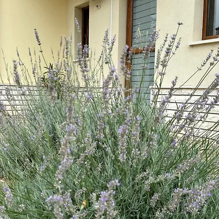 Holiday home Helios Golf